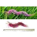 Purrs Rainbow Centipedie ClipOn prey - Fits PurrSuit, Frenzy & DaBird Rods