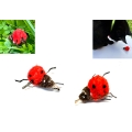 Purrs Little Ladybird -ClipOn- Fits PurrSuit, Frenzy & DaBird wands