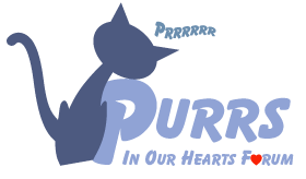 Purrs In Our Hearts   -  Cat Forum UK